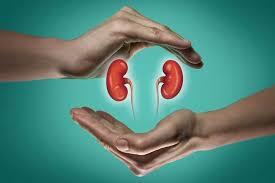 Surgical Procedure of Kidney Transplant