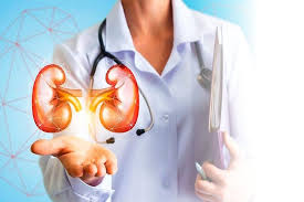 Best Kidney Transplant Hospital in India