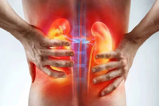 7 Early Signs Your Kidneys Are Struggling | You Shouldn’t Ignore