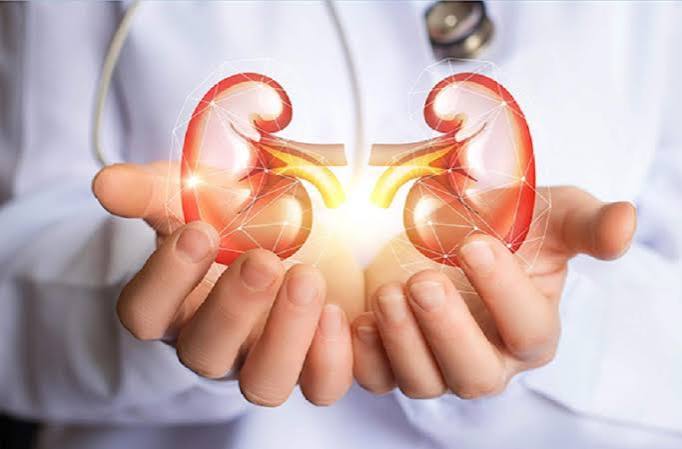 Best Kidney Transplant Doctor in Delhi