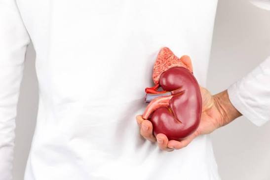 What Should You Know About Kidney Transplant Recovery and Follow-Up Care?