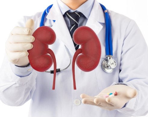 Kidney Function Tests: Explained