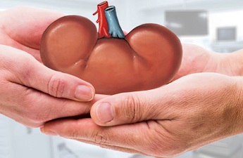 Whatâ€™s the Cost of a Kidney Transplant in India? Complete Price Guide
