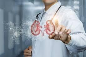 Kidney Transplant Success Rate in Delhi, India