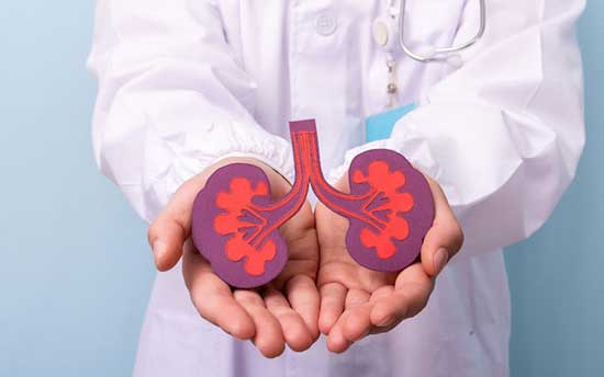 Kidney Transplant