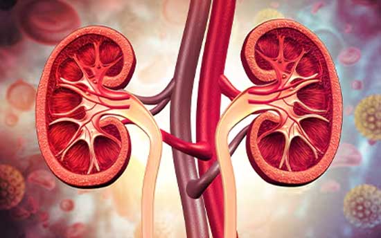 Chronic Renal Insufficiency